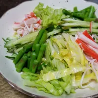 パパ作👨たっぷり野菜の冷し中華|ぱんだのままんさん