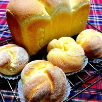 2025/05/20 【あすもやわら】と【春よ恋】の山食|Blueberry🫐さん