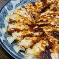 パパ作👨鶏ひき肉と白菜のヘルシー餃子|ぱんだのままんさん