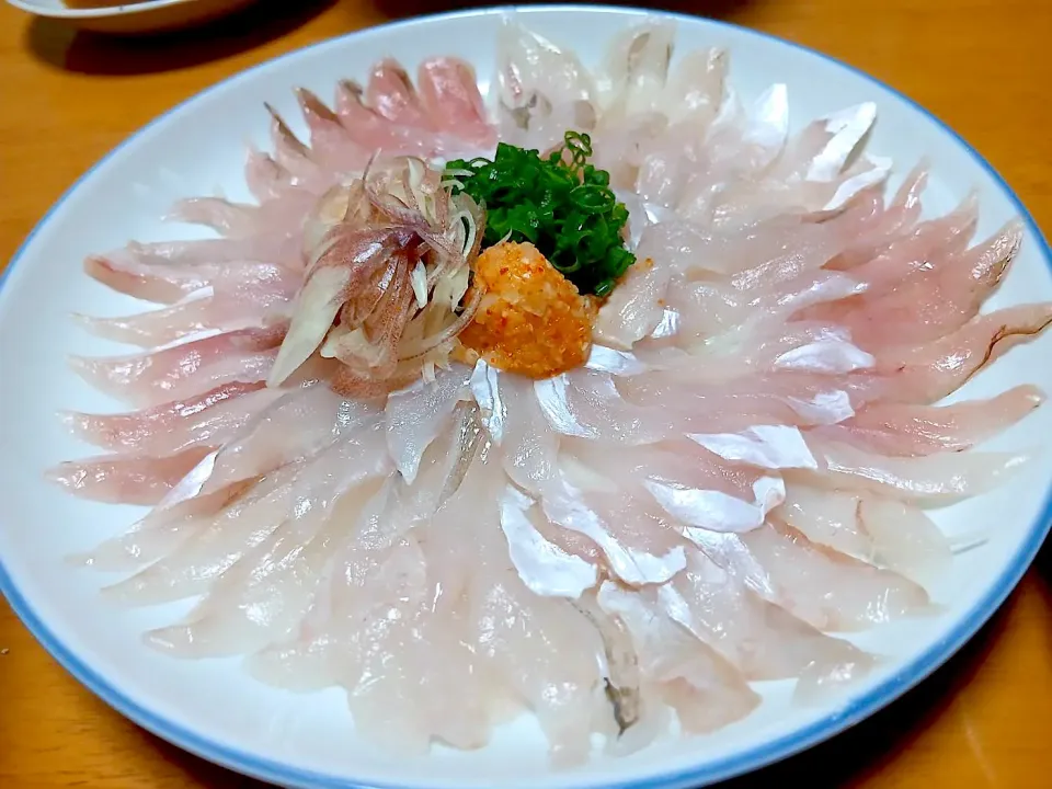 本めんぼ（カワハギ）の造り 今日はちっコイの3匹なので菊花盛りにしました 薬味はネギ、もみじおろし、みょうが ポン酢で|🐈⸒⸒⸒⸒つるのダンス🐈🐾さん