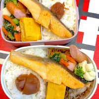 2025/5/20娘と私の弁当|なかみほさん