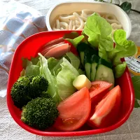 ＊0030.プチっとうどん＆サラダ🥗娘ちゃんの高校生弁当🍱＊|＊抹茶＊さん