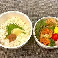 高校生息子のお弁当🍱 チキンスティックと豆腐ハンバーグ弁当🍱|Snow10さん
