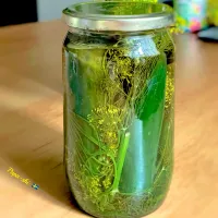 胡瓜のディルピクルス