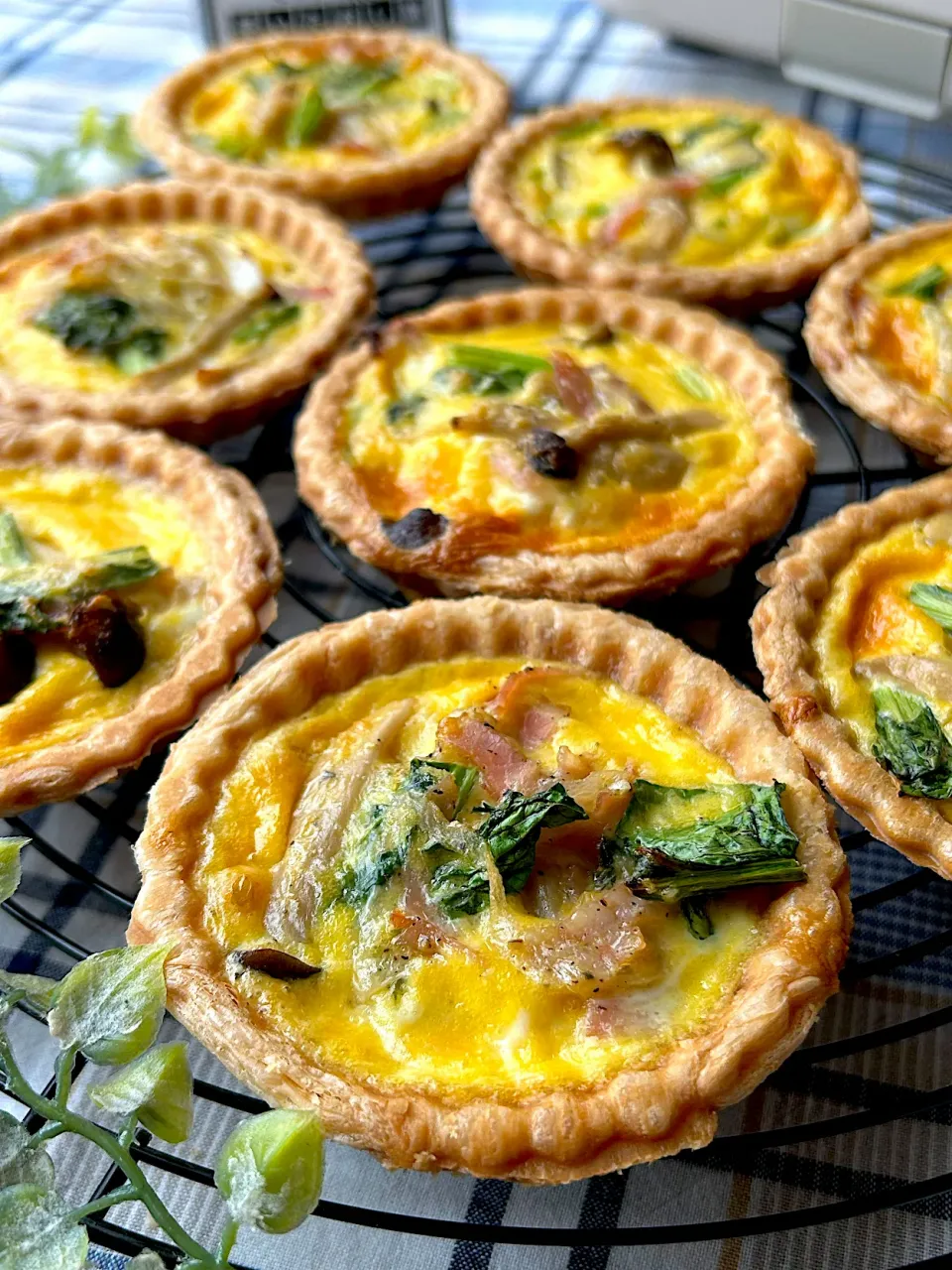 【ビタントニオ使いたおし隊💛ワッフル&ホットサンドベーカー】タルトレットプレート de きのことベーコンのキッシュ|まなまな♡さん