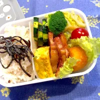 2025.4.21  ＊今日のお弁当＊塩昆布キャベツ♪| rinrin*mama*さん
