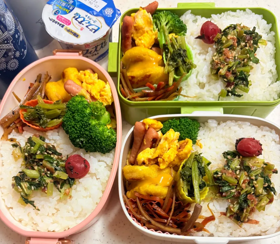 今日のお仕事弁当♪2025.5.21|ぐぅさん