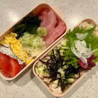 マグロ丼弁当|tatsuponさん