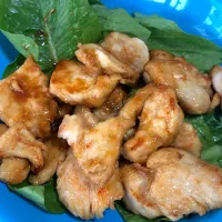 鶏胸肉の甘辛スタミナ焼き|田中章さん