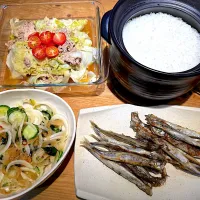今日の晩御飯（R7.5.20）|え〜かさん