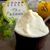 イタリア🇮🇹ハニーレモンジンジャージェラート🍨|あやめもちもちさん