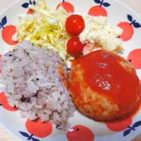 2025 0521　トマトチーズハンバーグ　酢キャベツ　ポテトサラダ|いもこ。さん