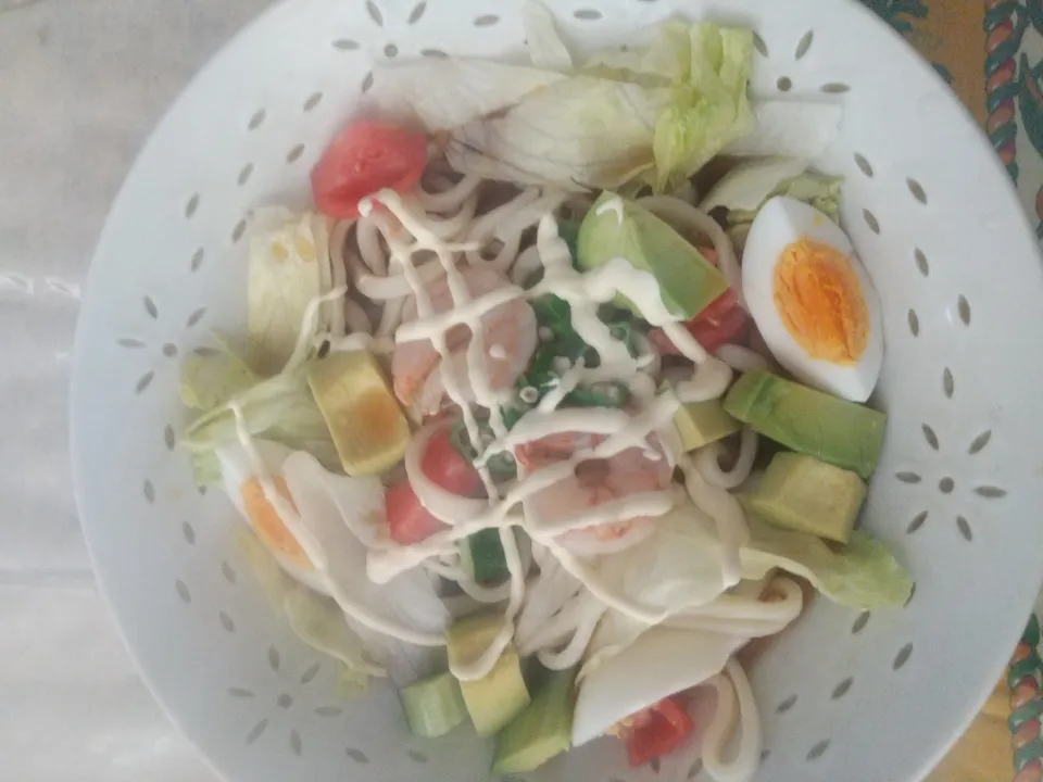 サラダ冷やしうどん|はやとさん