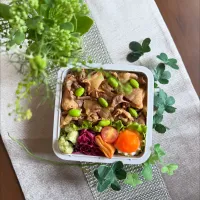 5/22❤︎主人の豚バラ丼弁当🌱

＊豚バラ丼（牛丼タレ）
＊半熟たまご
＊五目春巻き
＊レッドキャベツラペ|Makinsさん