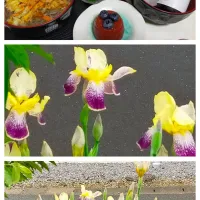 かき揚げ稲庭うどんとブルーベリートマト🫐ゼリー|justice🍎IWATE🍎さん