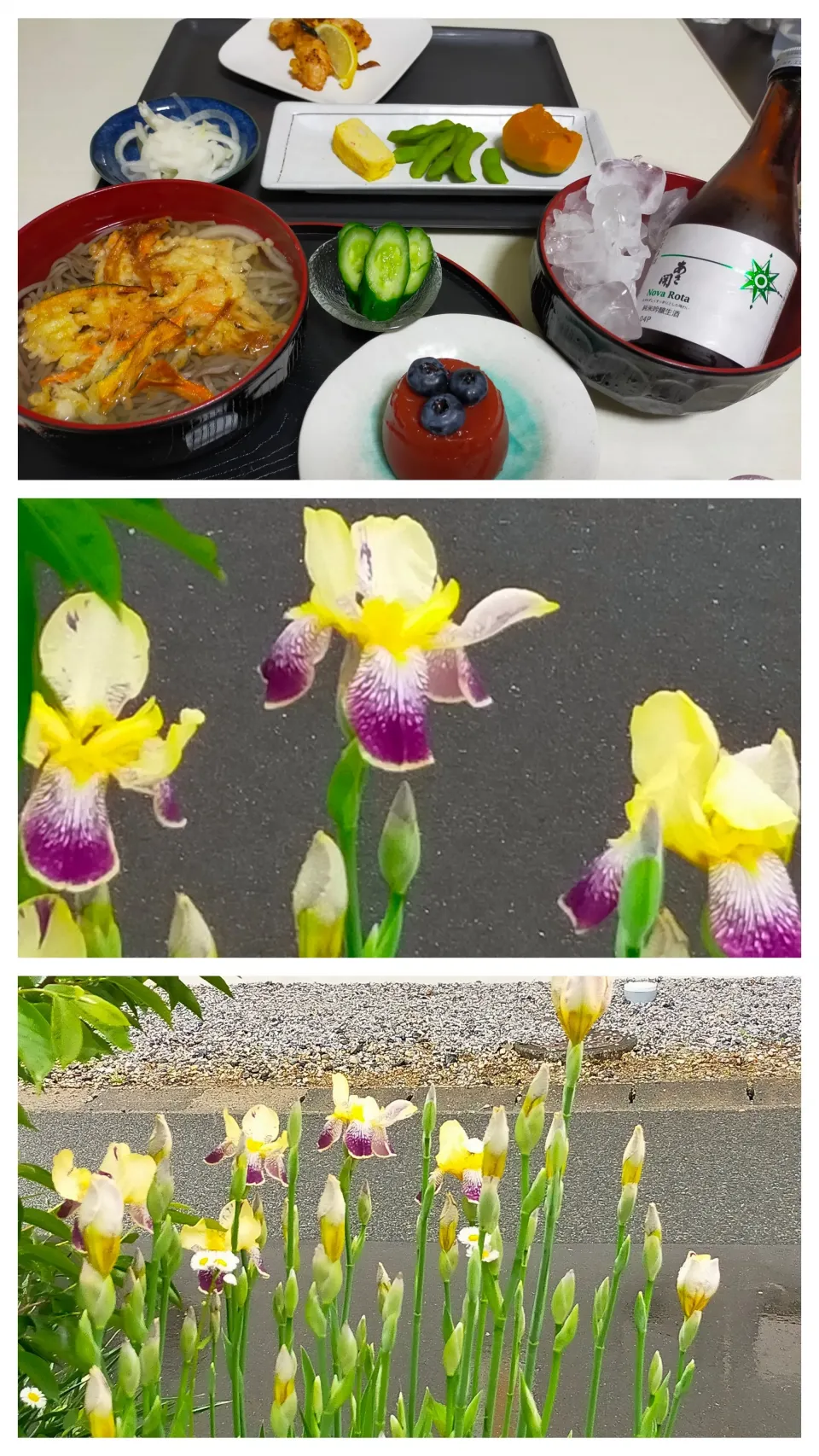 かき揚げ稲庭うどんとブルーベリートマト🫐ゼリー|justice🍎IWATE🍎さん
