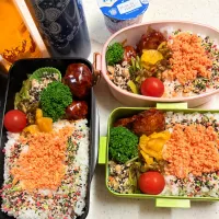 今日のお仕事&学校弁当♪2025.5.22|ぐぅさん