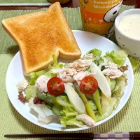 鶏ささみサラダ🥗|akkoさん
