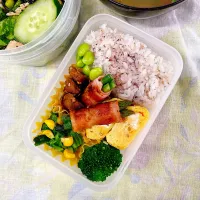 今日のお弁当|ずっきー‪✿さん