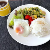 ゴーヤチャンプルーのワンプレートランチ☀️|みーぬさん