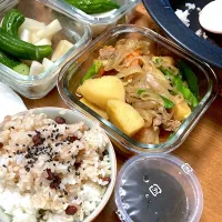 お昼ご飯|みんみんさん