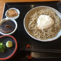 十割蕎麦トロロ掛け|Takachanさん
