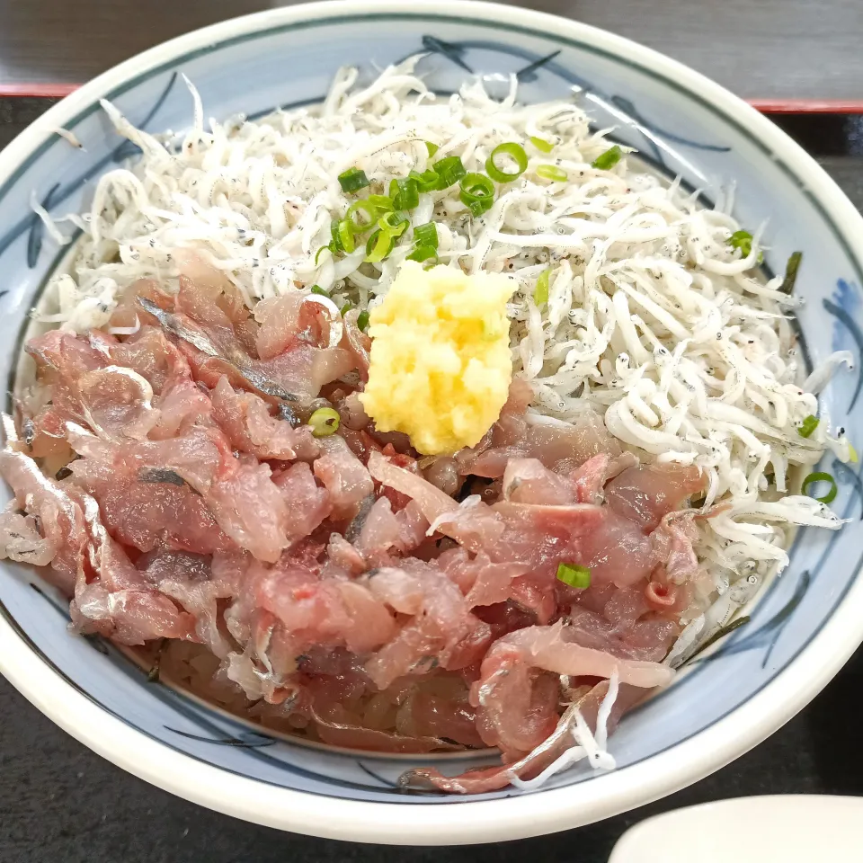 江ノ島　しらす丼|SHO ISHIIさん