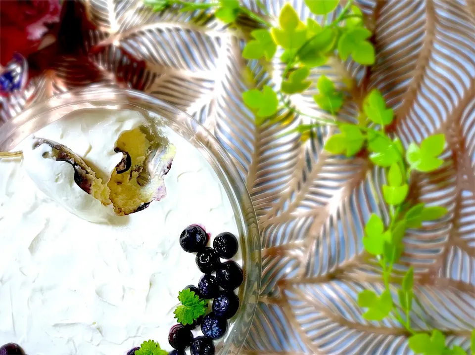 🫐ブルーベリーダブルチーズケーキ🫐|U・x・Uchokoさん