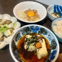 揚げ出し豆腐とカマンベールチーズの天ぷら他|tatsuponさん
