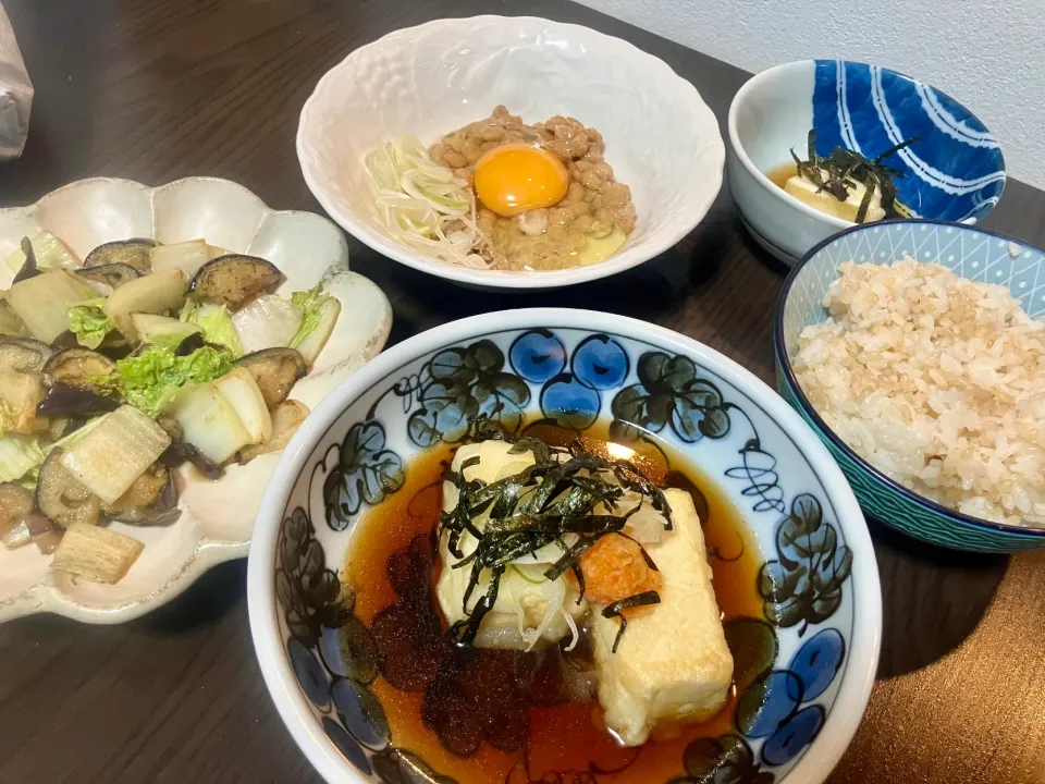 揚げ出し豆腐とカマンベールチーズの天ぷら他|tatsuponさん