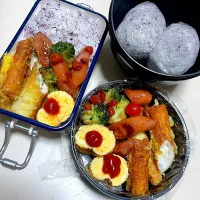 父が作る長男長女弁当🍱| 父が作る弁当さん