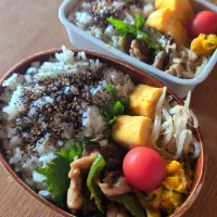 豚なすピーマンの焼肉だれ炒め|まきごろうさん