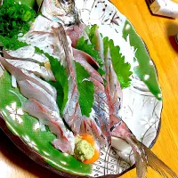 ブランドアジ 瀬付きアジ サイズが良かっので姿造りにしました (邪道な活き造りではありません)大根も手切り シソは庭のシソ アジも釣り魚なので無料