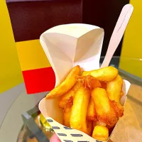 ベルギー🇧🇪フリッツ🇧🇪