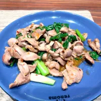砂肝の麻辣醤炒め|こいけさんさん