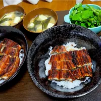鰻丼|ハルカさん