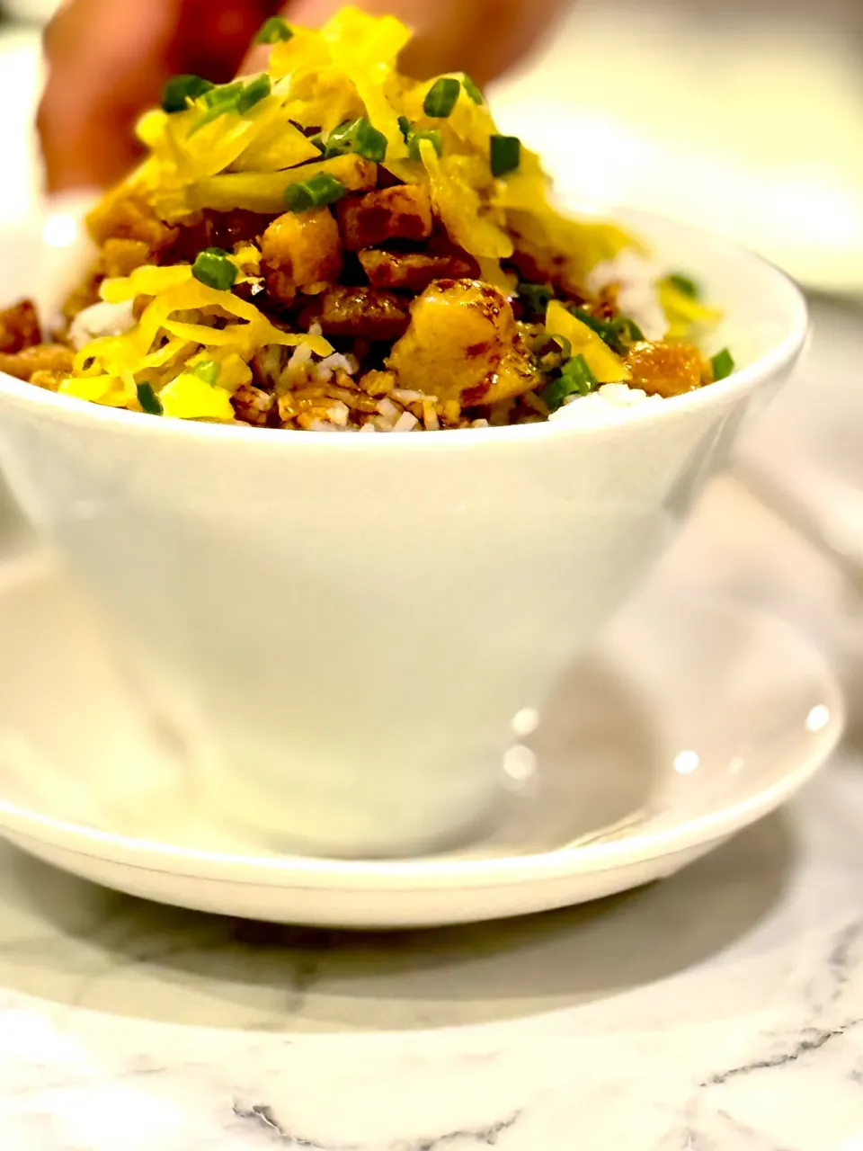 🌾 Crispy Pork Lard  rice🍚 sudden craving for it💜|B&Bさん
