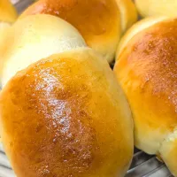 明日のロールパン