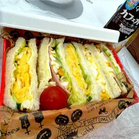 玉子🥚メインサンドイッチ🥪|姫☆さん