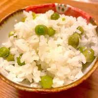 まめごはん🫛|tomoさん