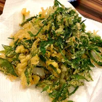 タラの芽　天ぷら|みそしるさん