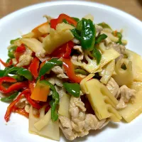 青椒肉絲|かよさん