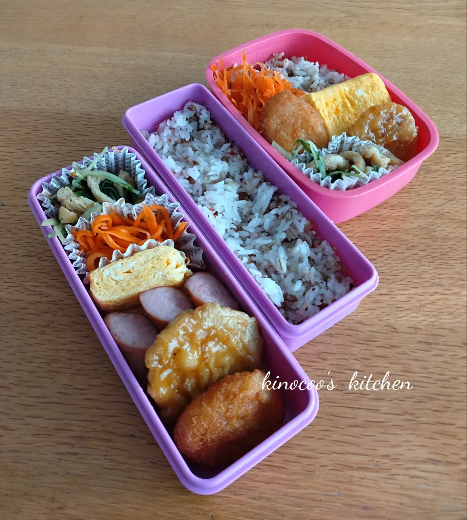 2025.5.13|kinocooさん