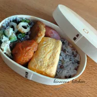 2025.5.23　お弁当|kinocooさん