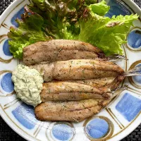 ハーブ香る特製ソースの鰯ムニエル| 栃倉 直人さん