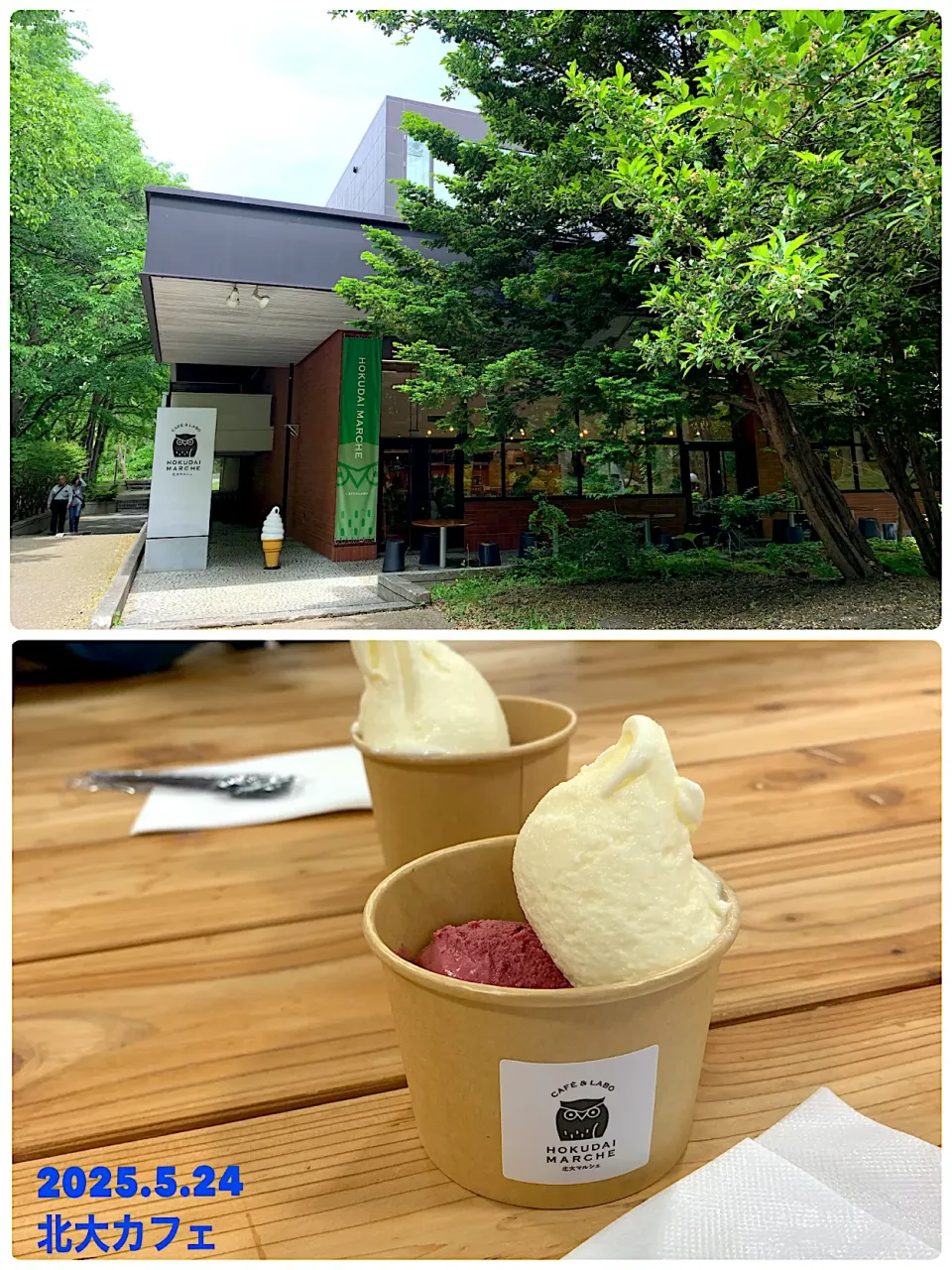 北大カフェ☕️|がおりんさん