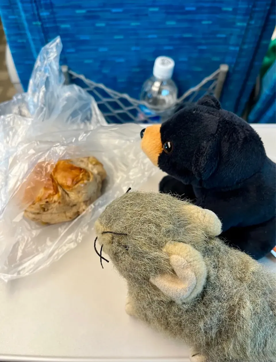 2025/5/25  新幹線の車中おやつ　Snacking on the Shinkansen|19 Boys & 野鳥さん