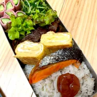 高1男子お弁当　プルコギ🐮&鮭🐟