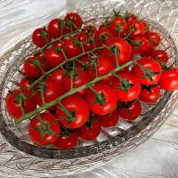 枝付きミニトマト🍅|henryさん