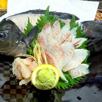 （釣）メジナの姿造り|さくたろうさん